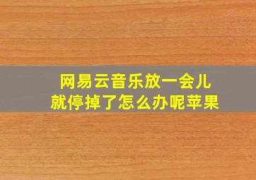 网易云音乐放一会儿就停掉了怎么办呢苹果