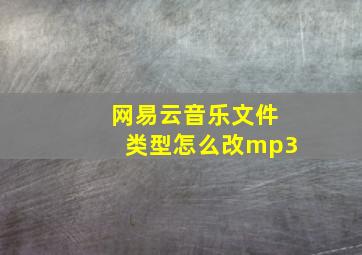 网易云音乐文件类型怎么改mp3