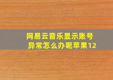 网易云音乐显示账号异常怎么办呢苹果12