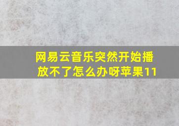 网易云音乐突然开始播放不了怎么办呀苹果11