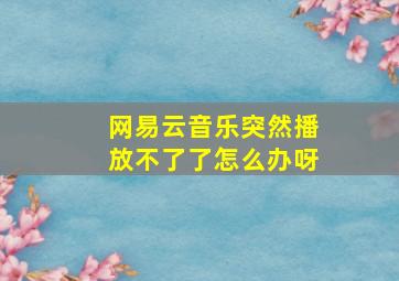 网易云音乐突然播放不了了怎么办呀