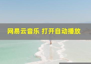 网易云音乐 打开自动播放