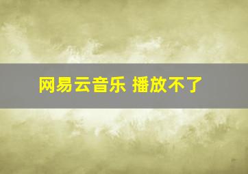 网易云音乐 播放不了