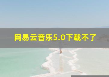 网易云音乐5.0下载不了