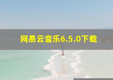 网易云音乐6.5.0下载