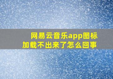 网易云音乐app图标加载不出来了怎么回事