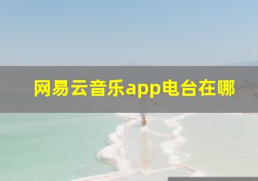 网易云音乐app电台在哪