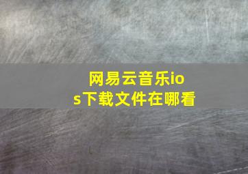 网易云音乐ios下载文件在哪看