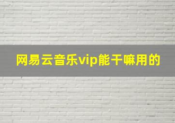 网易云音乐vip能干嘛用的