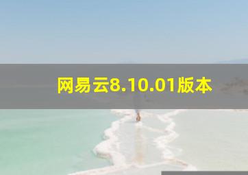 网易云8.10.01版本