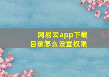 网易云app下载目录怎么设置权限