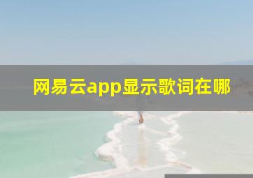 网易云app显示歌词在哪