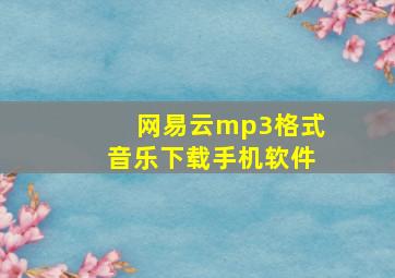 网易云mp3格式音乐下载手机软件