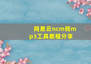 网易云ncm转mp3工具教程分享