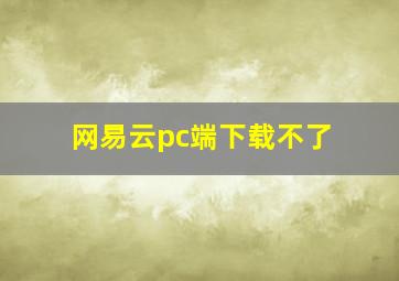 网易云pc端下载不了