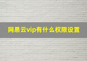 网易云vip有什么权限设置