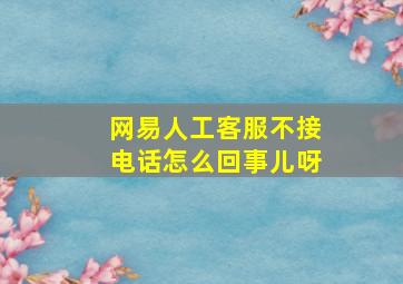 网易人工客服不接电话怎么回事儿呀