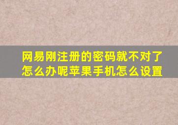 网易刚注册的密码就不对了怎么办呢苹果手机怎么设置