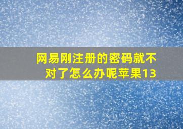 网易刚注册的密码就不对了怎么办呢苹果13