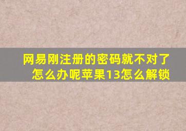 网易刚注册的密码就不对了怎么办呢苹果13怎么解锁