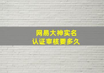 网易大神实名认证审核要多久