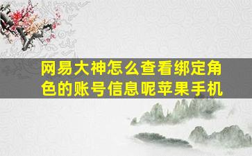 网易大神怎么查看绑定角色的账号信息呢苹果手机