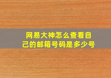 网易大神怎么查看自己的邮箱号码是多少号