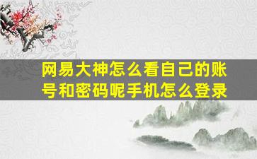 网易大神怎么看自己的账号和密码呢手机怎么登录