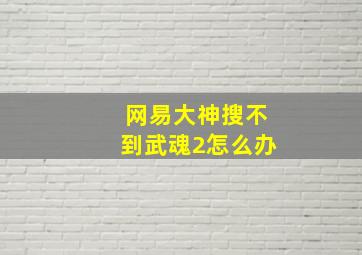 网易大神搜不到武魂2怎么办