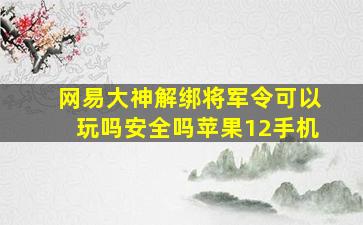 网易大神解绑将军令可以玩吗安全吗苹果12手机