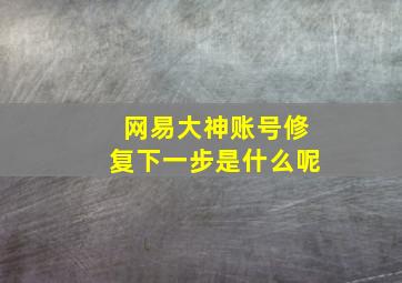 网易大神账号修复下一步是什么呢