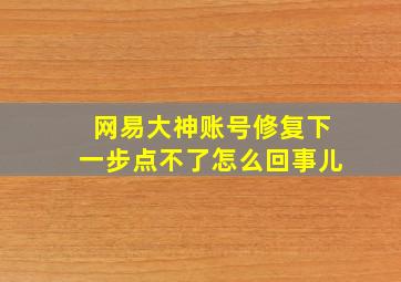 网易大神账号修复下一步点不了怎么回事儿