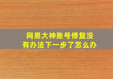 网易大神账号修复没有办法下一步了怎么办