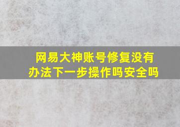 网易大神账号修复没有办法下一步操作吗安全吗