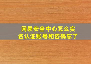 网易安全中心怎么实名认证账号和密码忘了