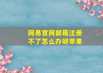 网易官网邮箱注册不了怎么办呀苹果