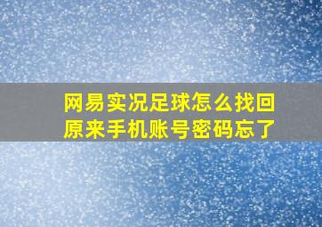 网易实况足球怎么找回原来手机账号密码忘了