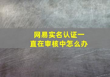 网易实名认证一直在审核中怎么办