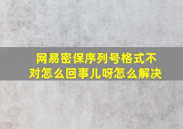 网易密保序列号格式不对怎么回事儿呀怎么解决