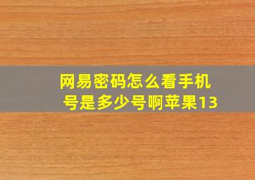 网易密码怎么看手机号是多少号啊苹果13