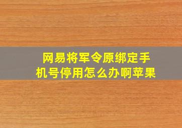 网易将军令原绑定手机号停用怎么办啊苹果