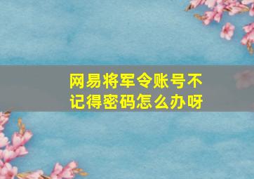 网易将军令账号不记得密码怎么办呀