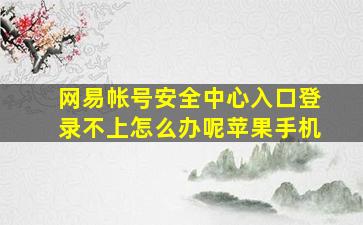 网易帐号安全中心入口登录不上怎么办呢苹果手机