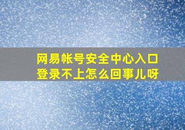 网易帐号安全中心入口登录不上怎么回事儿呀