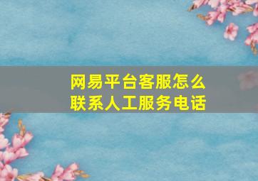 网易平台客服怎么联系人工服务电话