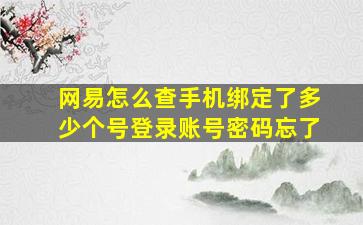 网易怎么查手机绑定了多少个号登录账号密码忘了