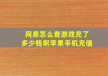 网易怎么查游戏充了多少钱啊苹果手机充值