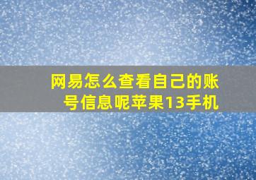 网易怎么查看自己的账号信息呢苹果13手机