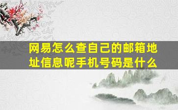 网易怎么查自己的邮箱地址信息呢手机号码是什么