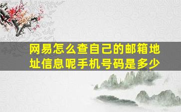 网易怎么查自己的邮箱地址信息呢手机号码是多少